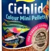 Tetra Cichlid Colour Mini